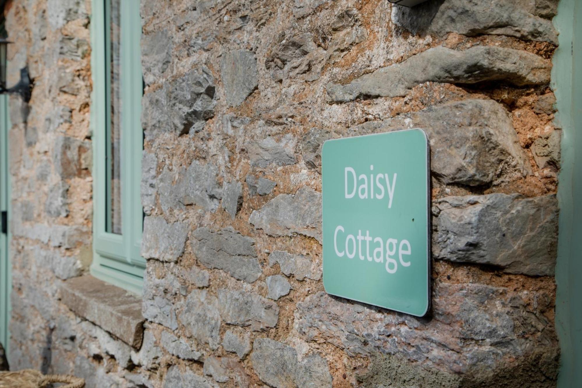 Daisy Cottage Paignton Ngoại thất bức ảnh